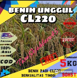 Benih padi CL220 berkualitas kemasan 5kg