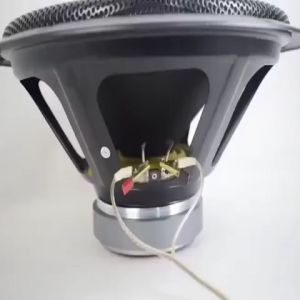 Joson GT-15W Professional Audio Speaker Subwoofer with 500w rated power (Original)