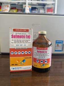 SULMOTRI (100ml) VBpharma xử lý cầu trùng đầu đen ký sinh trùng đường máu viêm ruột gà đá chim cảnh gia cầm khác