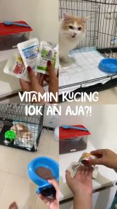 Sachet isi 5 Vitamin penggemuk kucing Royal care VIMUK