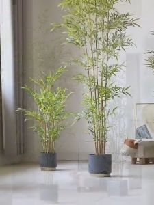 (พร้อมส่ง)ไผ่ปลอมแต่งบ้าน ไผ่ต้นใหญ่ ไผ่มงคล ต้นไม้มงคล ต้นไม้ตรุษจีน ต้นไม้แต่งบ้าน 90/120/150cm