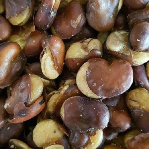 Kacang Koro Original Pedas Manis Kupas Asin Gurih Tipis