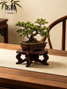TUOJUE | Ancient-style Mini Display Stand For Plants