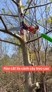 Kéo cắt cành trên cao với lưỡi dao sắc bén và tay cầm chắc chắn phù hợp cho việc cắt tỉa cây cối trong vườn.