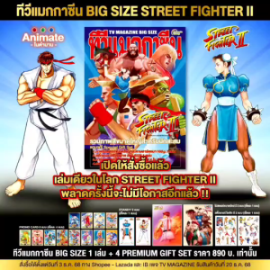 อนิเมทกรุ๊ป-สตรีทไฟท์เตอร์IIทีวีแมกกาซีนบิ๊กไซส์(BigTVMag)ฉบับพิเศษ-Street FighterII Big TV Magazine