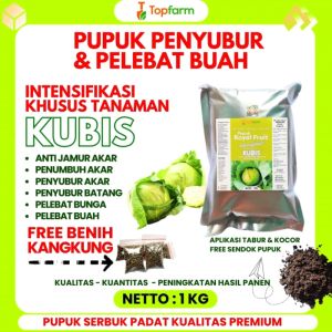 Pupuk Pembesar Buah Kol & Kubis: Cara Meningkatkan Produksi