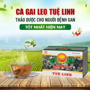 Trà Giải độc gan Tuệ Linh hòa tan 5 gói x 8g - [Chính Hãng] - Hỗ trợ tăng cường chức năng gan