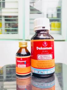 Zat Pengatur Tumbuh DEKAMON 22.43 L dari Dewi Kayangan