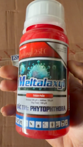 Metalaxyl 25EC Thuốc Trừ Bệnh – Đặc trị Phytophthora chuyên trị thối rễ thối trái nội hấp mạnh hiệu quả kéo dài