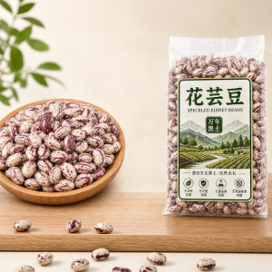 Đậu Đỏ Thận Cây Hoa Tím Hạt Lớn Mới Gặt  Ngũ Cốc và Các Loại Đậu