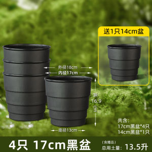 Controlled Root Plastic Flower Pot Deep High Gallon White Mountain Resin Breathable Planter for Roses Hellebores And Bamboo