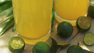 Calamansi Concentrate Organic Drink Mindoren - C Original with Honey and Ginger Pure Juice Extract Honey Bee Ginger Essential Natural Source of Antioxidant Vitamin C Enzymes Multivitamins Anti-inflammatory Immunity Booster Antibacterial for Kids Family