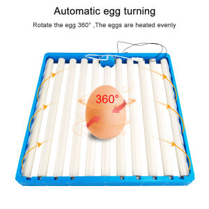 Automatic 360 Degree Rotary Egg Turner Roller Tray 70 Eggs Hatching Incubator Farm Incubation Tool Duck Quail Bird Accessory
