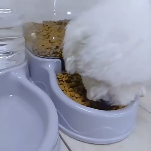 แมวและสุนัขสากล Pet Feeder อัตโนมัติ 3.8L ภาชนะเก็บข้าวมั่นใจออกจากบ้านไม่เสียบปลั๊ก Feeder God