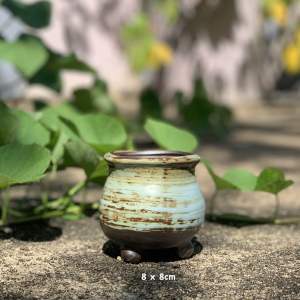 Chậu trồng cây sen đá/bonsai/cây cảnh xuất Hàn cao 19cm