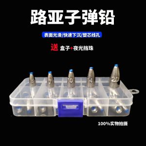 Lure Bullet Lead Sinkers Plastic Core Line Hollow Drop Shot Lead for Long Casting Texas Rig Carro Fishing Line Group