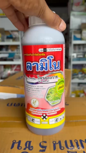 โพรคลอราช 45% EC โพรคลอราซ กำจัดเชื้อรา ลามิโน กำจัดโรคพืช แอนแทรคโนส ราแป้ง ราสนิม ใบจุด สแคป กุ้งแห้ง หอมเลื้อย กาบใบแห้ง เมล็ดด่าง ใช้ได้ทั้งพืชไร่และพืชสวน 1 ลิตร