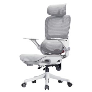Musso | Ergonomic Computer Chair For Long Hours Sitting Office & Gaming