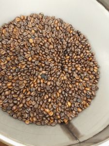 500g Cà Phê Hạt Rang Mộc DakLak