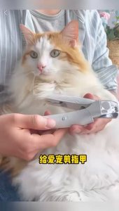 Pet nail cutter with LED light for cats dogs and rabbits
