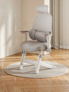 XIGE | Ergonomic Lumbar Support Study Chair for Children and Teenagers