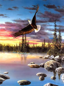 Jigsaw Puzzle Peaceful Eagle In Flight Scene 1000Pieces For Adults Ideal For Stress Relief And Relaxation