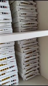 ZTE F677 XPON SUPORT OLT EPON GPON INCLUDE ADAPTOR