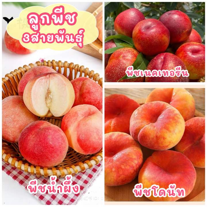 Is 755 a good credit score?