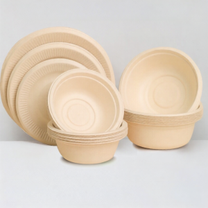Disposable Paper Bowls and Plates 20 Pieces
