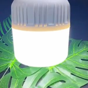 Waterproof LED Light Bulbs & 220V Plastic Lights: A Comprehensive Guide