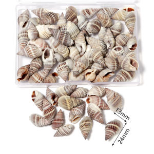 1 Box Sea Shells Spiral Shell Tiny Ocean Spiral Seashells Crafts Aquarium Decoration Landscaping Accessories Photography Props