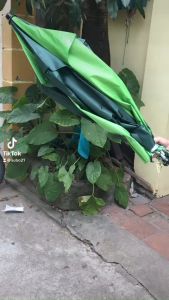 Ô Câu Cá Ô Dù Che Nắng Mưa Hình Xanh Dọc Dưagiọt nước 1.8m Siêu Bền Đẹp