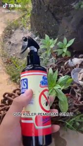 Pengusir Semut Paling Ampuh Pembasmi Semut Sampai Tuntas Dijamin Tidak Balik Lagi