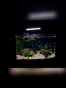 220V Aquarium LED Light Full Spectrum Water Grass High Brightness Super Slim 360° Rotation Fish Tank Aquatic Plant Clip-on Lamp