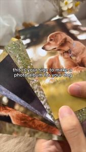 36pcs 4R Lomo Card Photo Album KPOP Photocard Album Matte Cover 4R Foto Album 36入磨砂半透明封面4R标准相册