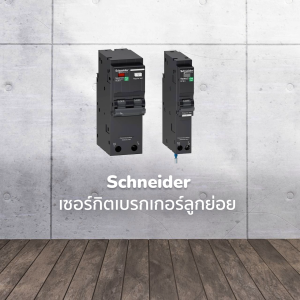 Schneider เซอร์กิตเบรกเกอร์ลูกย่อย กันดูด ป้องกันไฟรั่ว 16A 6kA 10mA รหัส QO116C06RCBO10