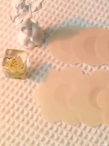 10pcs /Pack Women Disposable Invisible Nipple Tape Cover Bra Tape for Women Nipple Patch Sticker