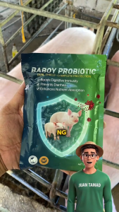 [3-IN-1 PIG CARE] Baboy Probiotic 250g – Pig Growth Booster & Digestive Support | Improves Feed Absorption Helps Reduce Diarrhea & Controls Pig Pen Odor