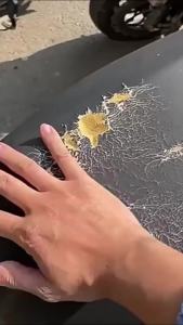 Masely Self-adhesive Repair Tape: A Multi-Purpose Solution