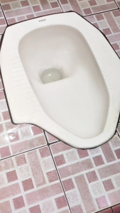 DNS Anti Sumbat Saluran Air Pipa Mampet WC Wastafel Tempat Cuci Piring 1 Liter