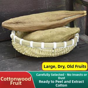 Natural Kapok Fruit Pillow Filling