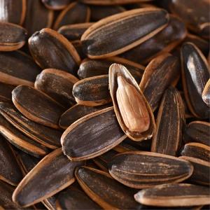 Large Size Sunflower Seeds Five Flavor Walnuts Original Red Dates