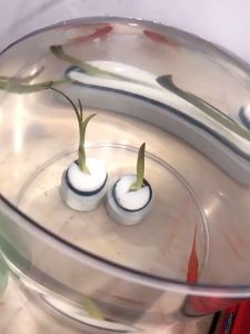 10pcs Plastic Aquarium Aquatic Plant Pot For Fish Tank Plants Aquascape Decoration