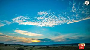 KH. Baidlowi Lasem Soft Cover: Buku Tafsir Al-Quran Berkualitas