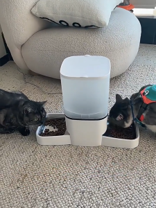 MeeGoo Smart Automatic Pet Feeder 6L Capacity Smart App Control Timed Feeding Dual-camera Dual-bowl Feeder Cat And Dog Food Bowl