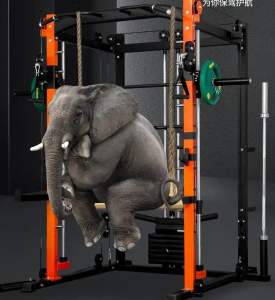 Smith Machine Power Cage with Crossover Machine Landmine (2024)