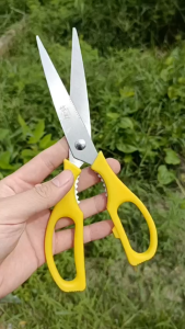 Kéo vàng lệch cán - Tay cầm nhựa (rẻ)