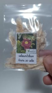 30 เมล็ด แคหัวหมูสีแดง เมล็ดแคหัวหมูสีแดง เมล็ดแคหัวหมู แคหัวหมู แคป่าสีแดง เมล็ดแคป่าสีแดง เมล็ดแคป่า แคป่า แคหางค่าง