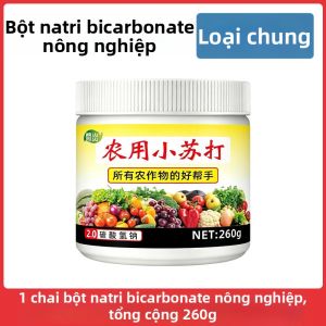 Phân Bón Rau Cây Thông Dụng Chống Sâu và Tăng Thu Hoạch