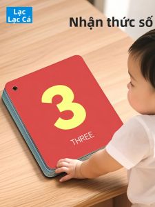 LELEYU | Number Cognition Flash Cards Educational Toy